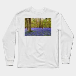 Bluebells Bluebell Woods Greys Court Oxfordshire UK Long Sleeve T-Shirt